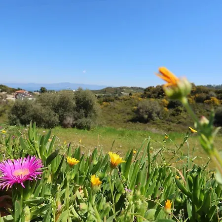 Apartamento Hilltop 6