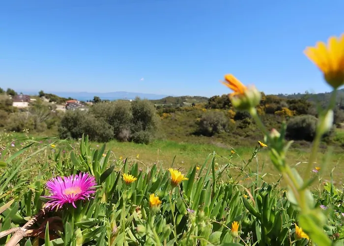 Apartamento Hilltop 6